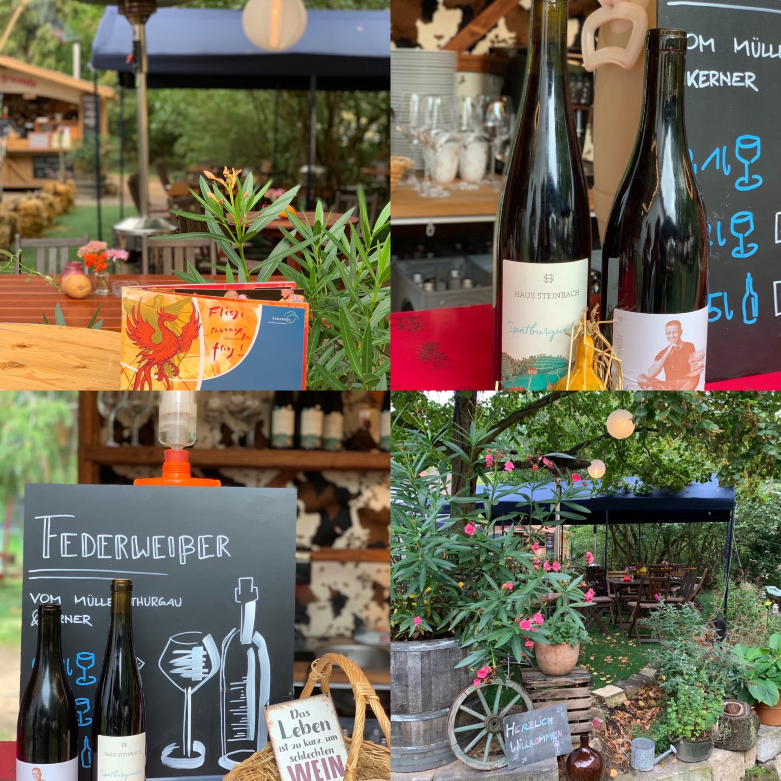 Haus Steinbach Weingut Ferienwohnungen Event Lokation