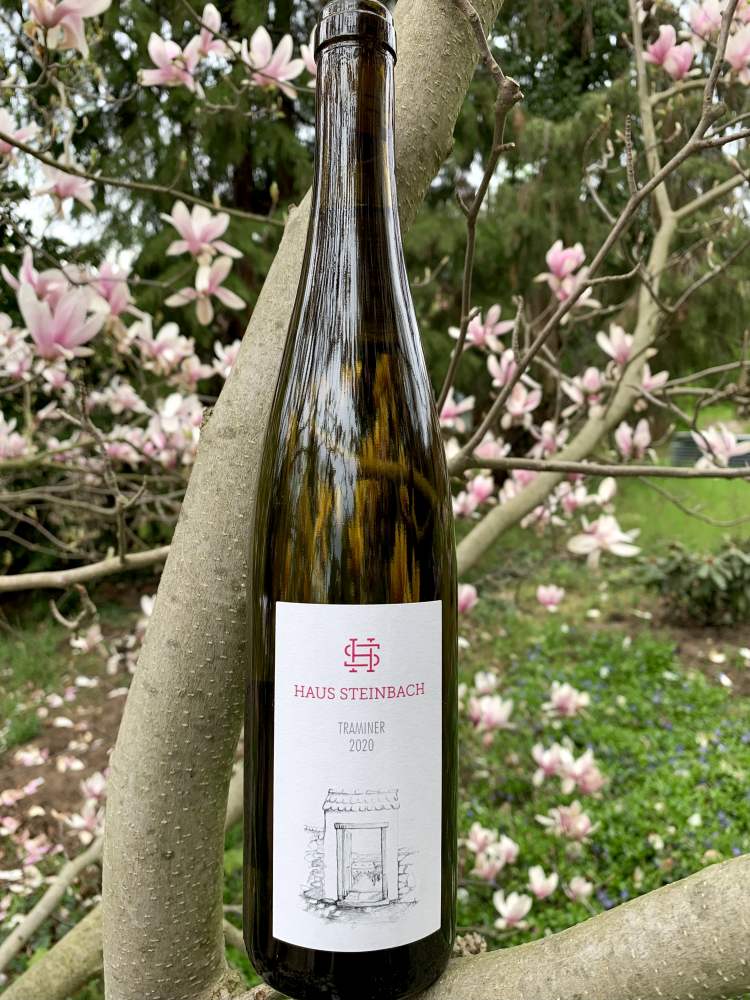 Haus Steinbach Traminer