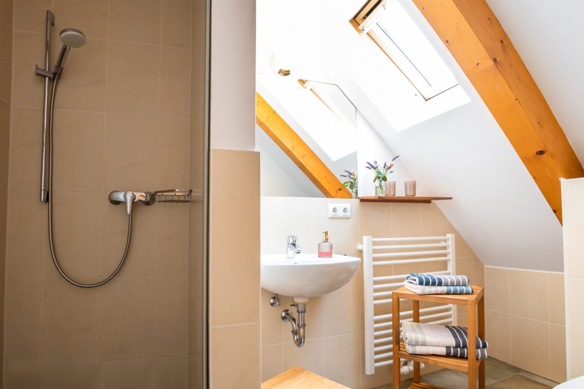 Blick ins Bad mit Dusche